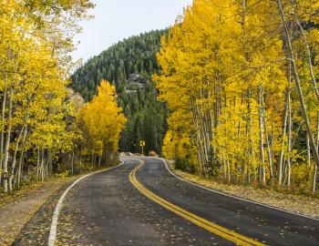 Fall in Aspen Snowmass