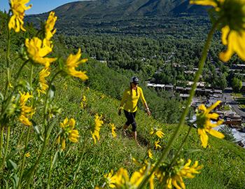 Aspen Hikes from Town