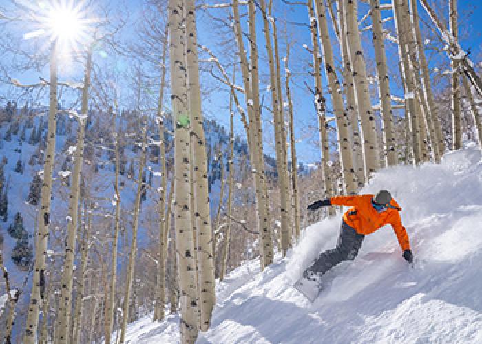 Where to Ski in Aspen