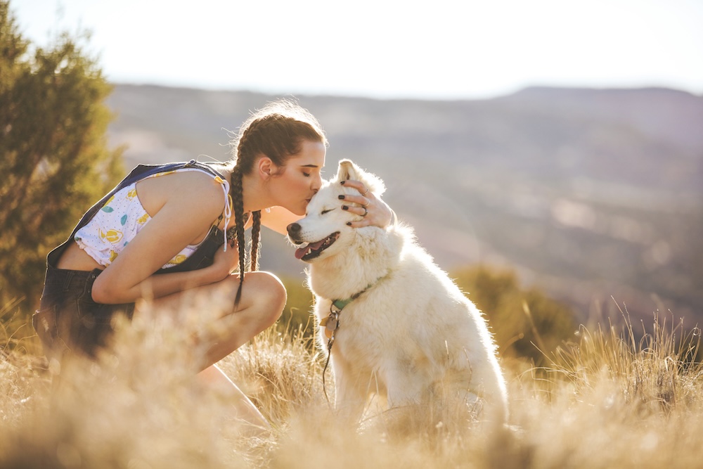 dog-friendly aspen