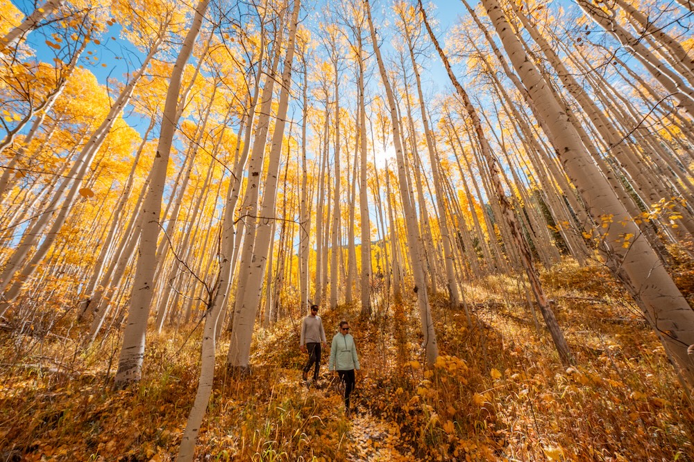 Hiking in the highlands