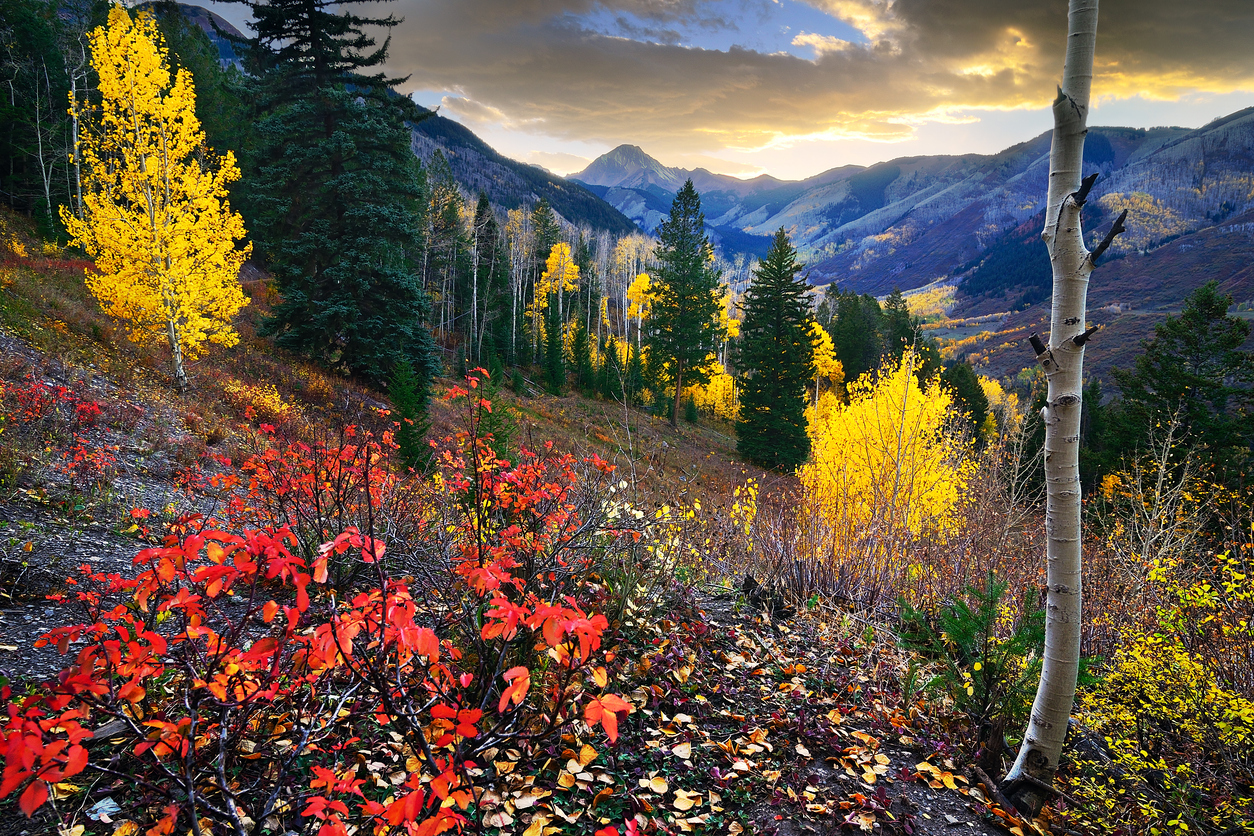 Snowmass Village in the Fall Snowmass Village in the Fall